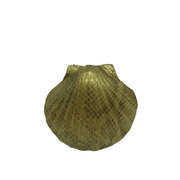 Conchiglia Porta Oggetti rivestita in pelle di Pitone - LIMITED EDITION